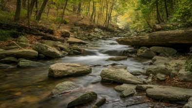 autrey mill nature preserve