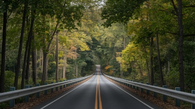 holcomb bridge road