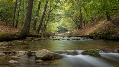 the vickery creek trail at roswell mill